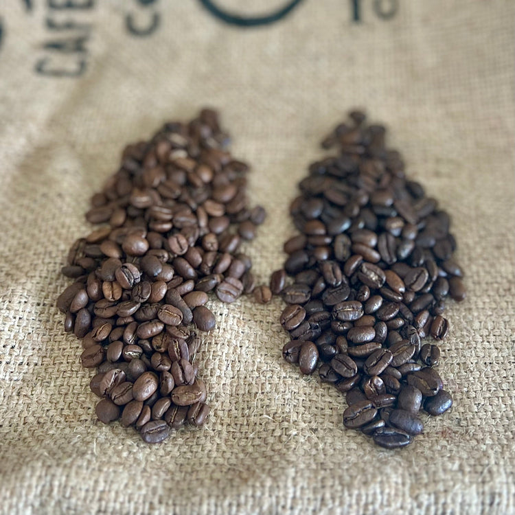 Fresh Roasted Coffee | RIVET Coffee