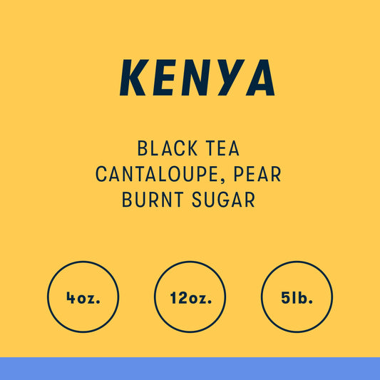 Kenya Kichwa Tembo - Single Origin Coffee - RIVET Coffee