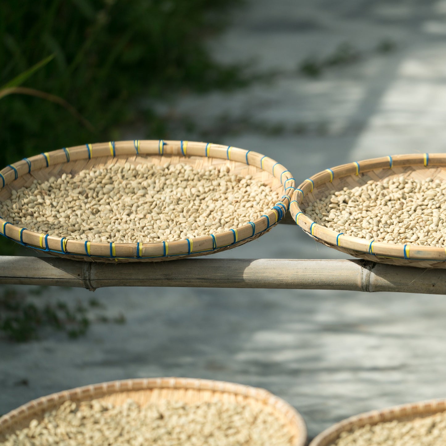 Sumatra Dark Roast - RIVET Coffee