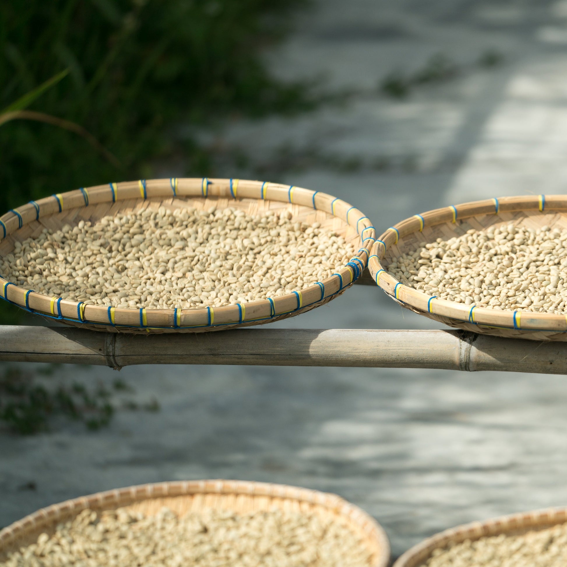 Sumatra Dark Roast - RIVET Coffee